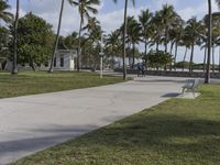 a view of a paved pathway between grassy and palm trees, with a bench at the end