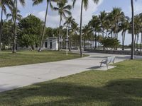 a view of a paved pathway between grassy and palm trees, with a bench at the end