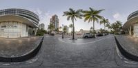 three fish eye photos of a plaza in front of a building and palm trees, with an empty road at the foreground