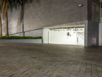 the man is riding his skateboard down the sidewalk beside a large building with palm trees behind him