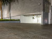 the man is riding his skateboard down the sidewalk beside a large building with palm trees behind him