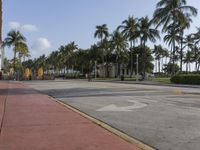 the city sidewalk in front of a line of palm trees with arrows pointing to the right