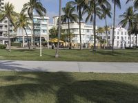 a green grassy field with tall palm trees in the background and buildings with a sidewalk leading up to it