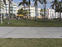 a green grassy field with tall palm trees in the background and buildings with a sidewalk leading up to it