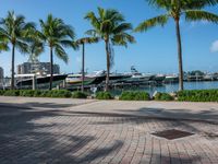 a boat is parked at the dock with a few palm trees in front of it