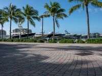 a boat is parked at the dock with a few palm trees in front of it