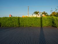 the view of a city in the sun with some palm trees next to the boardwalk