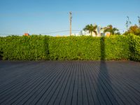 the view of a city in the sun with some palm trees next to the boardwalk