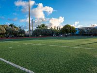 a field that has a ball on it in it and blue skies above it, with palm trees in the background