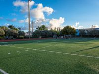 a field that has a ball on it in it and blue skies above it, with palm trees in the background