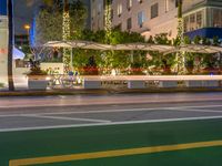 a city intersection at night with lights in the background and palm trees on a sidewalk