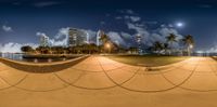 a skateboard ramp near a body of water and palm trees with a view of a city at night