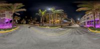 a wide angle image of palm trees outside a building at night of traffic lights in a deserted street