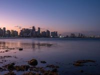 the skyline of manhattan with a body of water surrounded by plants and rocks on the shore