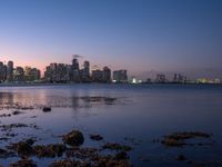 the skyline of manhattan with a body of water surrounded by plants and rocks on the shore