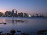 the skyline of manhattan with a body of water surrounded by plants and rocks on the shore