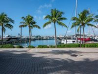 a brick pavers area in front of palm trees and yachts docked in a marina