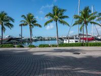 a brick pavers area in front of palm trees and yachts docked in a marina