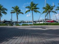 a brick pavers area in front of palm trees and yachts docked in a marina