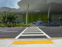 Road in Miami Beach Lined with Palm Trees