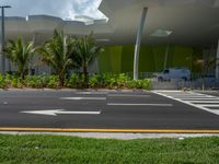 Miami Beach Palm Tree Road, Florida