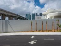 a white concrete fence with palm trees on either side of the street and two tall buildings in the background