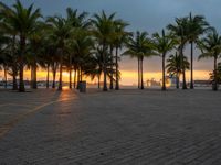 a park filled with palm trees and benches under the sunset sky on a cloudy day