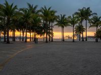 a park filled with palm trees and benches under the sunset sky on a cloudy day