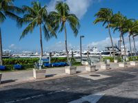 several palm trees lining the sidewalk at a marina dock area and docked boats in the background