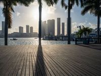 the view of a city in the sun with some palm trees next to the boardwalk