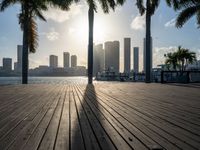 the view of a city in the sun with some palm trees next to the boardwalk