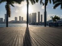 the view of a city in the sun with some palm trees next to the boardwalk