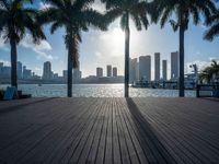 the view of a city in the sun with some palm trees next to the boardwalk