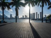 the view of a city in the sun with some palm trees next to the boardwalk