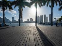 the view of a city in the sun with some palm trees next to the boardwalk