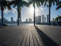 the view of a city in the sun with some palm trees next to the boardwalk