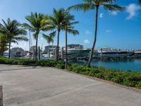 a pier with boats sitting at the docks and palm trees in the water behind it