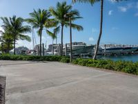 a pier with boats sitting at the docks and palm trees in the water behind it