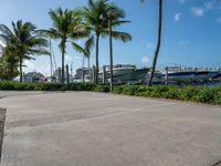 a pier with boats sitting at the docks and palm trees in the water behind it