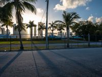 the view of a city in the sun with some palm trees next to the boardwalk