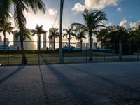 the view of a city in the sun with some palm trees next to the boardwalk