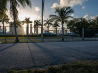 the view of a city in the sun with some palm trees next to the boardwalk