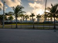 the view of a city in the sun with some palm trees next to the boardwalk