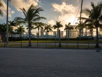 the view of a city in the sun with some palm trees next to the boardwalk