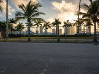 the view of a city in the sun with some palm trees next to the boardwalk