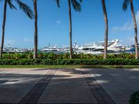 a couple of large white boats are sitting next to the trees and some palm trees