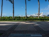 a couple of large white boats are sitting next to the trees and some palm trees