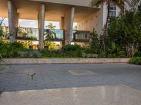 a skateboarder rides through a puddle in front of a tall building with palm trees