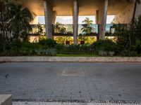 an empty paved area with concrete steps and plants surrounding it is very brightly lit from behind