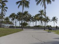 Miami Beach Road with Palm Trees and Residential Buildings